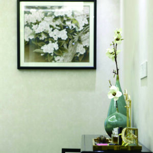 Pure Odour Wall Paint: Fresh & Odour - Free Interior Solution