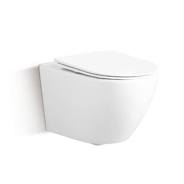 Sanitary Ware Set with Model 1049 - Image 8