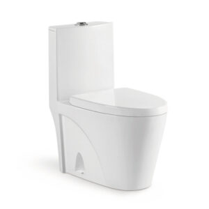 685x385x765mm One Piece Toilet for Hospital Project 8018