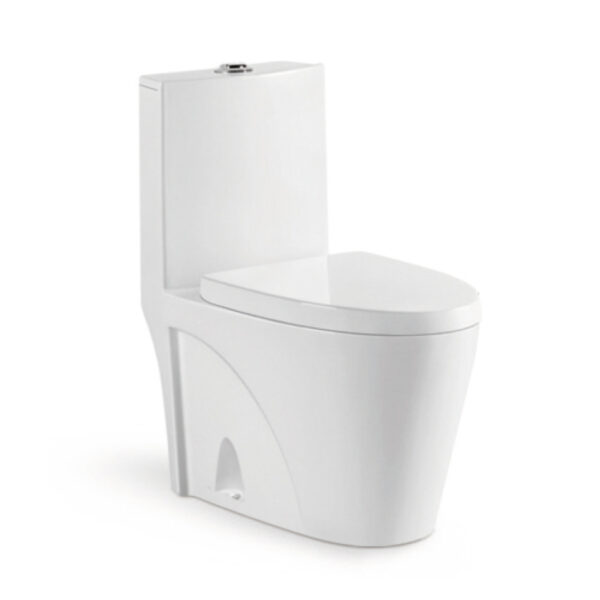 685x385x765mm One Piece Toilet for Hospital Project 8018