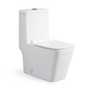 700x370x800mm One Piece Toilet for Mall Project 8067