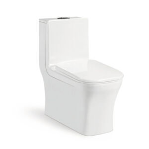 720x380x760mm One Piece Toilet for Airport Project 8096