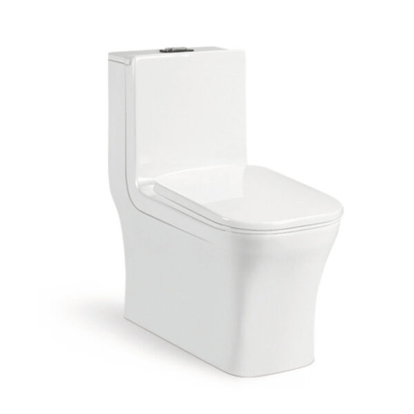 Middle East Toilet for Airport Project