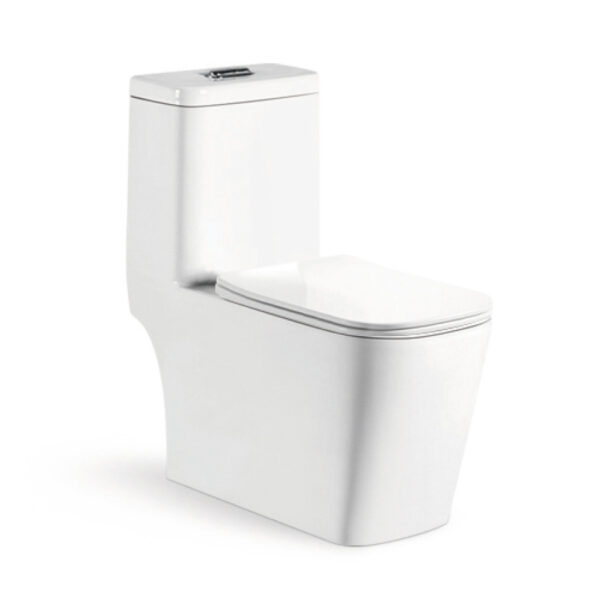 690x375x775mm One Piece Toilet for Station Project 8108