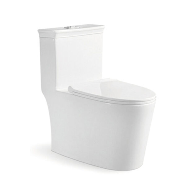 715x420x740mm One Piece Toilet for Commercial Building Project 8112