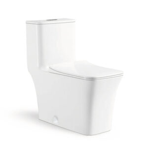 710x375x765mm One Piece Toilet for Residential Building Project 8121