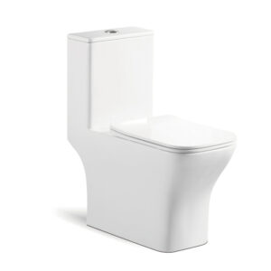 665x350x750mm One Piece Toilet for Public Toilet Project 8217