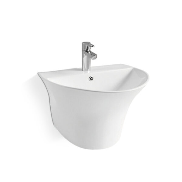 Minimalist Curved - Edge Wall - Hung Basin BG - 002 | 530x440x360mm